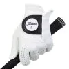 Titleist Players Golf Glove 1 Titleist Players Golf Glove -Hybrids Sales Shop footjoy players golf glove 6636e